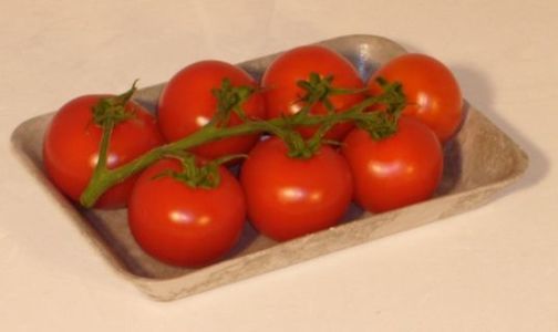 Red tomatoes on a biodegradable potato plate.