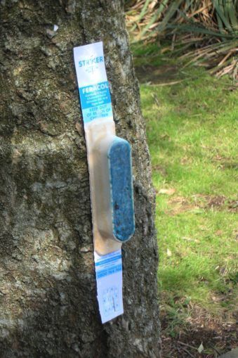 A biodegradable possum bait station fixed to a tree, New Zealand