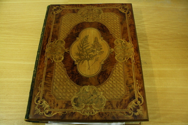 The Seuffert album of pressed ferns, Victorian era (1837–1901)