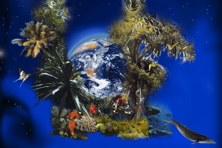 The Earth and various species illustrating biodiversity.