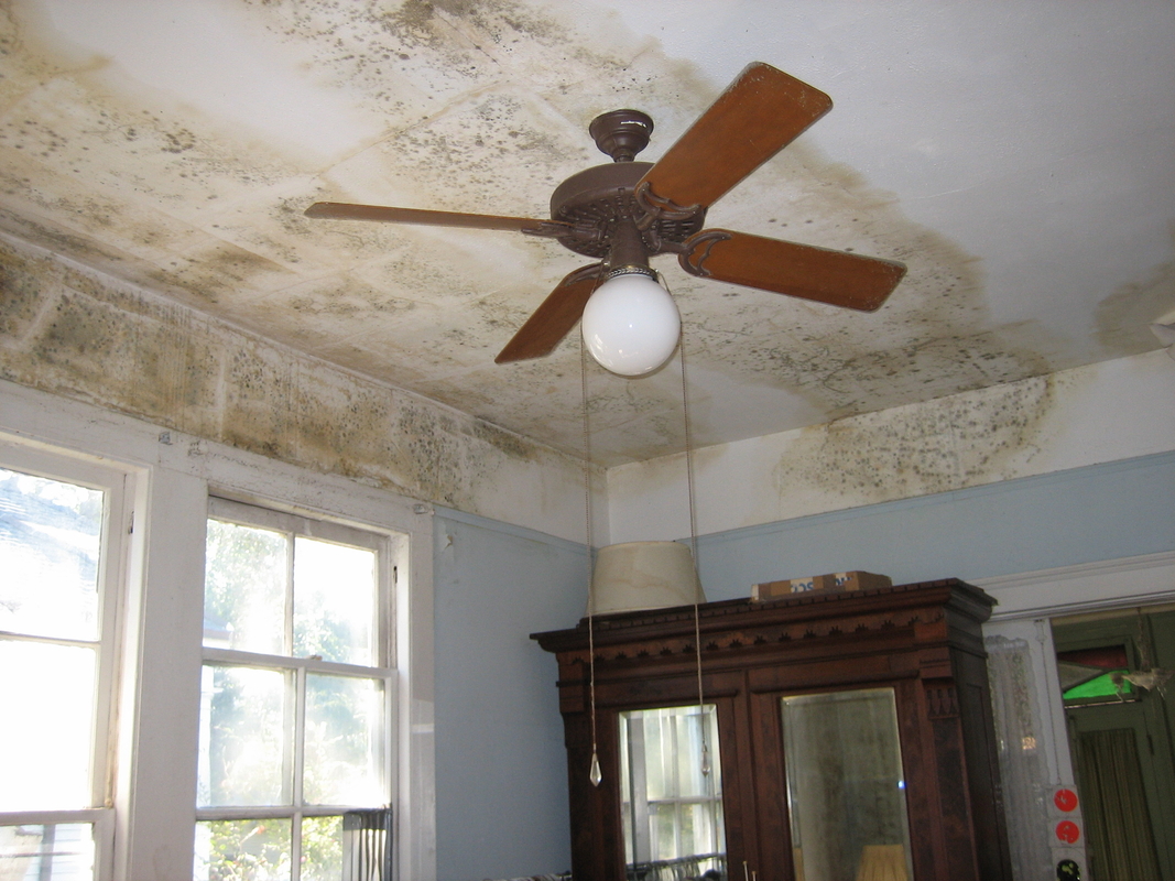 Mold in residential bedroom after Hurricane Katrina, New Orleans