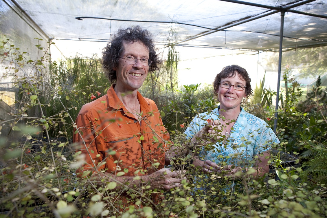 Professor Dave Kelly & researcher Jenny Ladley in a greenhouse.