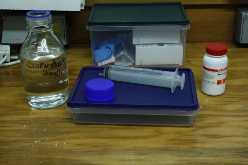 Equipment used to treat frogs infected with chytridiomycosis