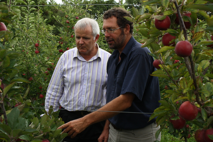 two male scientists discussing apples in an orchard 
