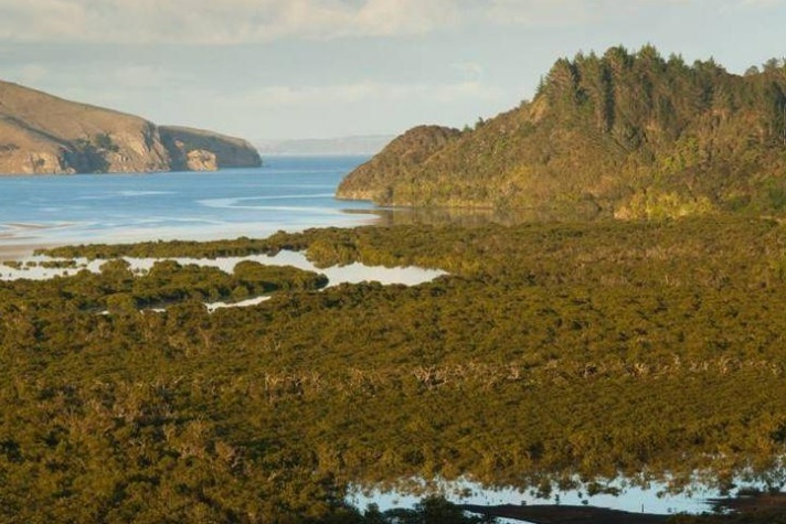 Manaia Estuary, New Zealand. 