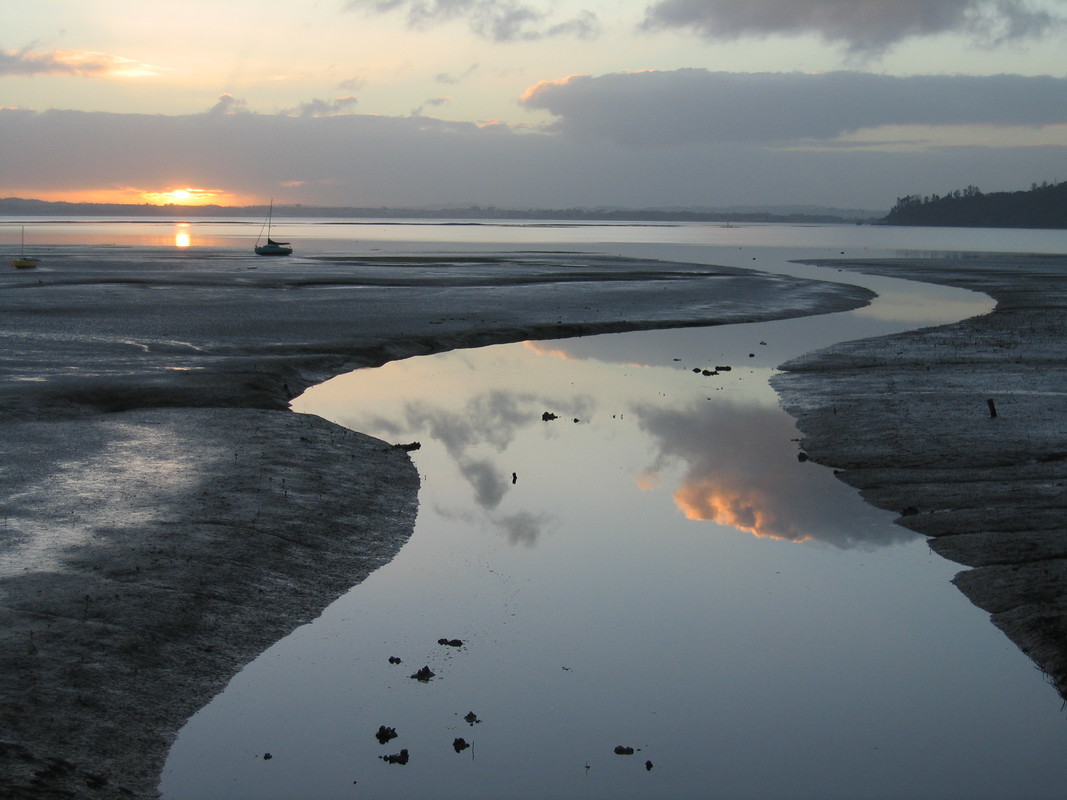 Stormwater run-off in Auckland estuary at sunset.