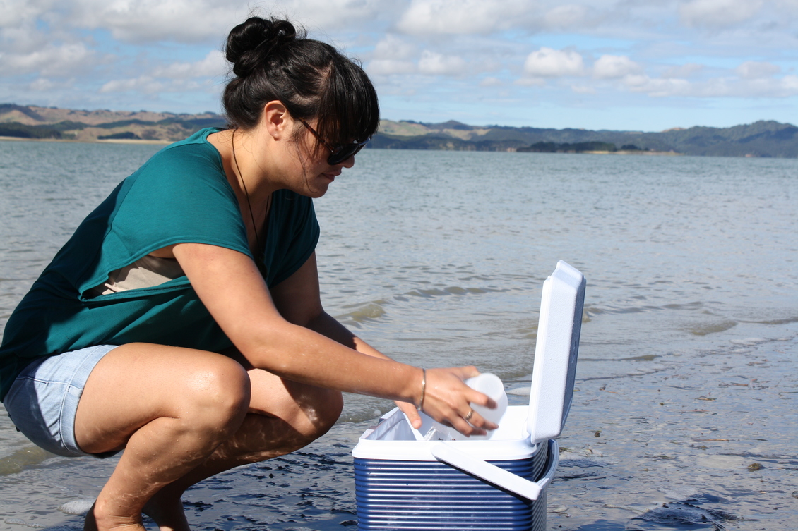 Scientist collecting a water sample to test for water quality.