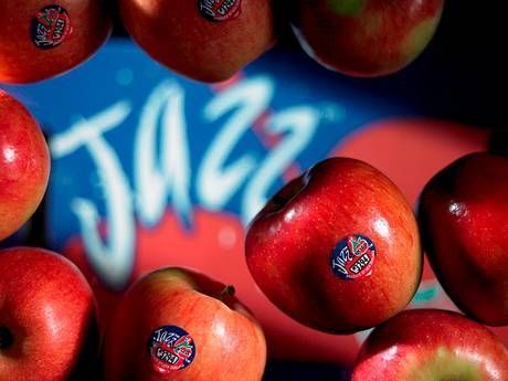 CLose up of red Jazz apples and Jazz logo