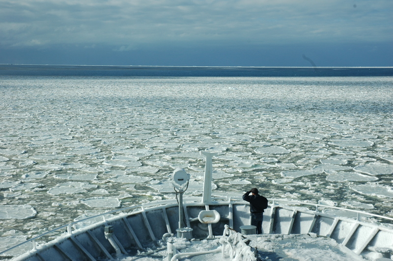 Research ship 'RV Tangaroa' sailing through pancake ice.
