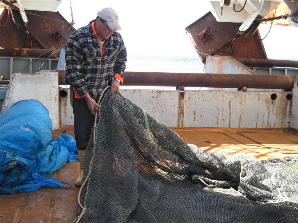 Fisherman checking a net for holes on ship's deck.