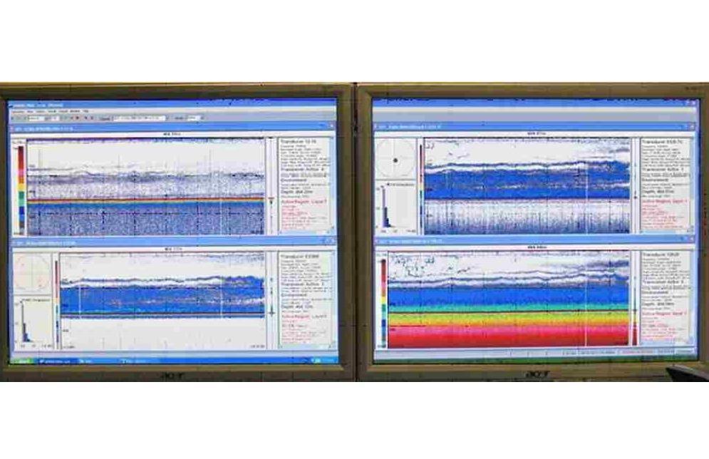 Monitors showing pictures from four echo-sounders.