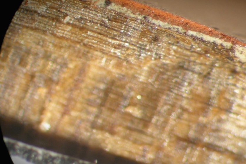 Paint layers under a microscope from pare 5168.