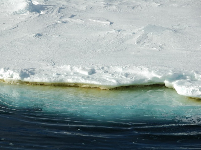 Iceberg with a band of ice algae (yellow/brown band) attached