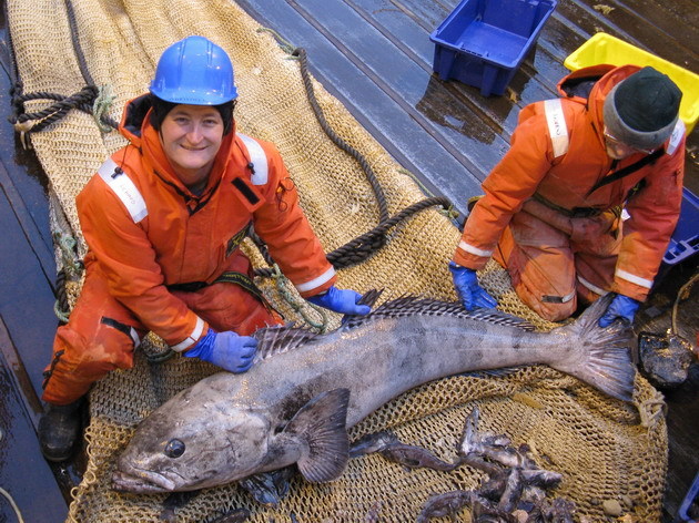 Scientists with large dead Antarctic toothfish onboard Tangaraa
