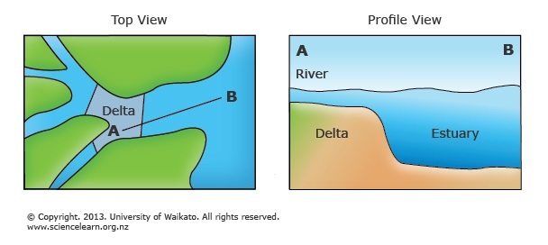 Diagram of formation of coastal plains estuary. 
