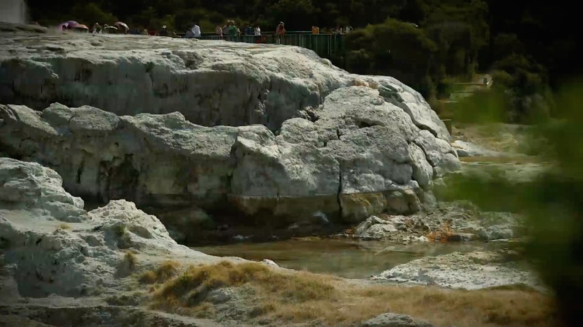 High-water mark on silica terrace, Whakarewarewa thermal system