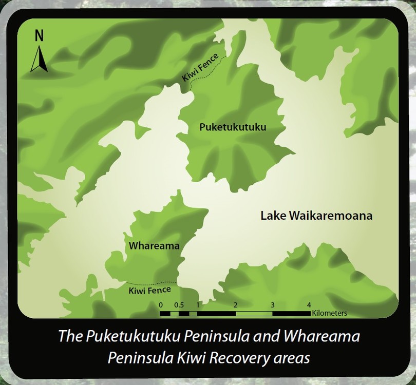Lake Waikaremoana inland islands recovery areas for kiwis.