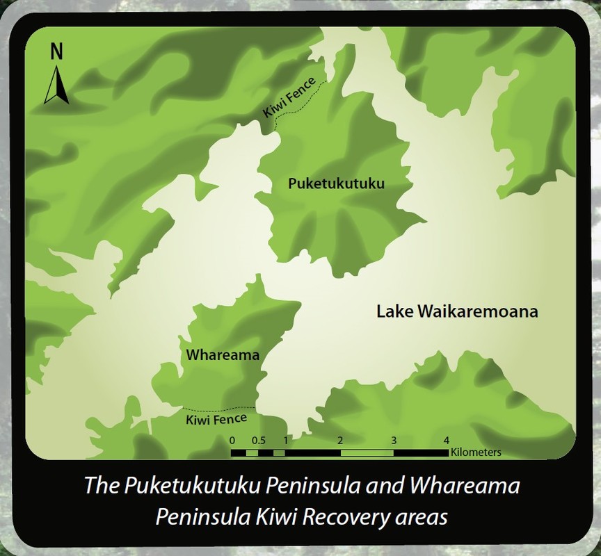 Lake Waikaremoana inland islands recovery areas for kiwis.