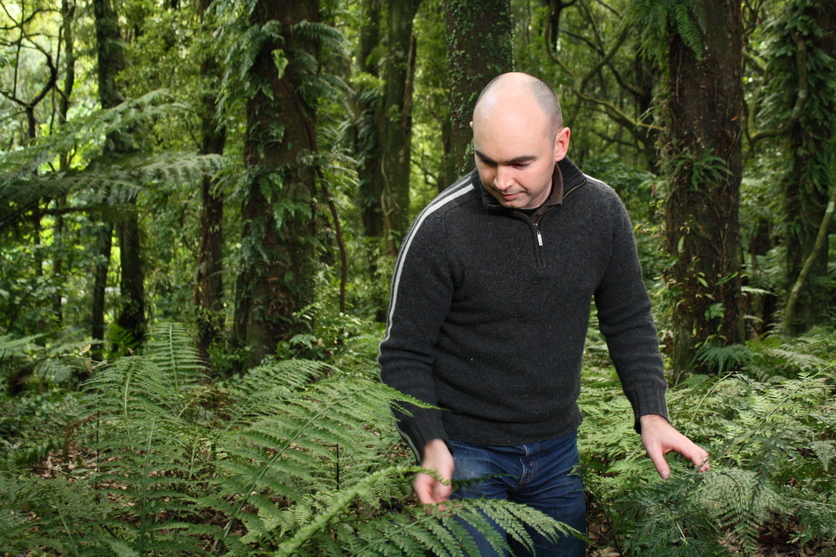 Scientist Leon Perrie looking for fern specimens.