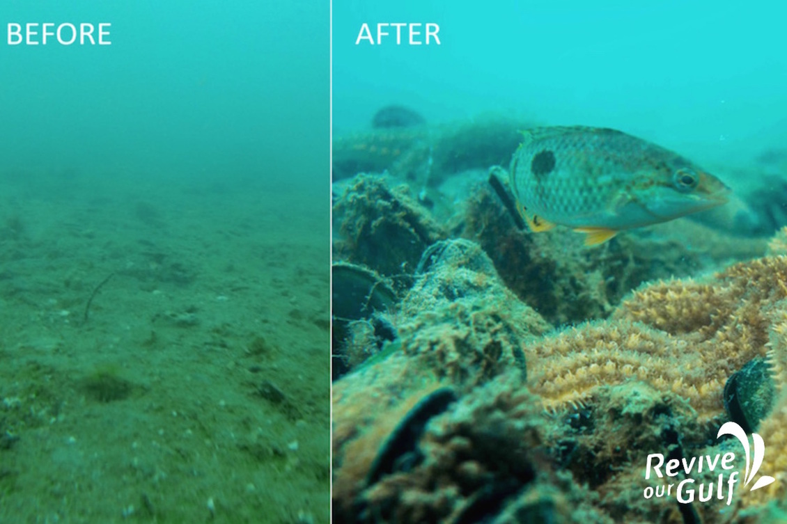 Before and after shot of work on new seabed mussel reefs. 