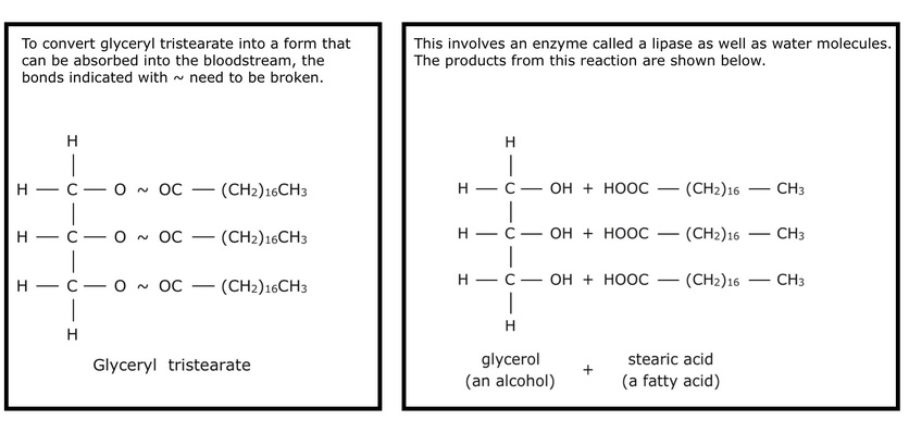 Conversion of glyceryl tristearate formulae.