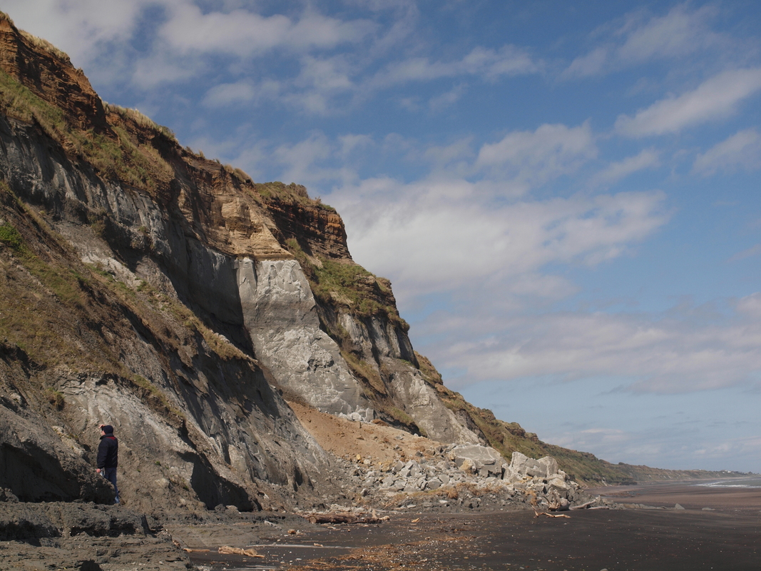 Coastal cliffs near Whanganui, New Zealand