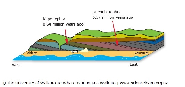 Diagram showing relative dating of part of cliffs near Whanganui
