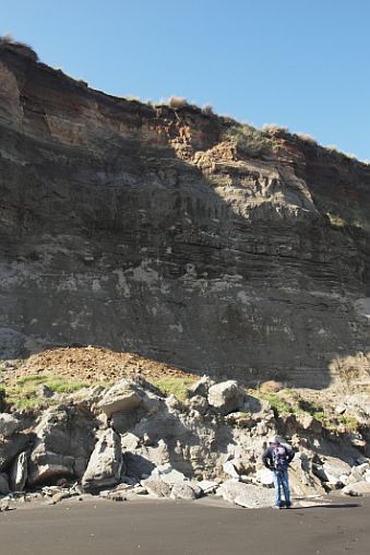 A geologist looking at a cliff near Whanganui. 