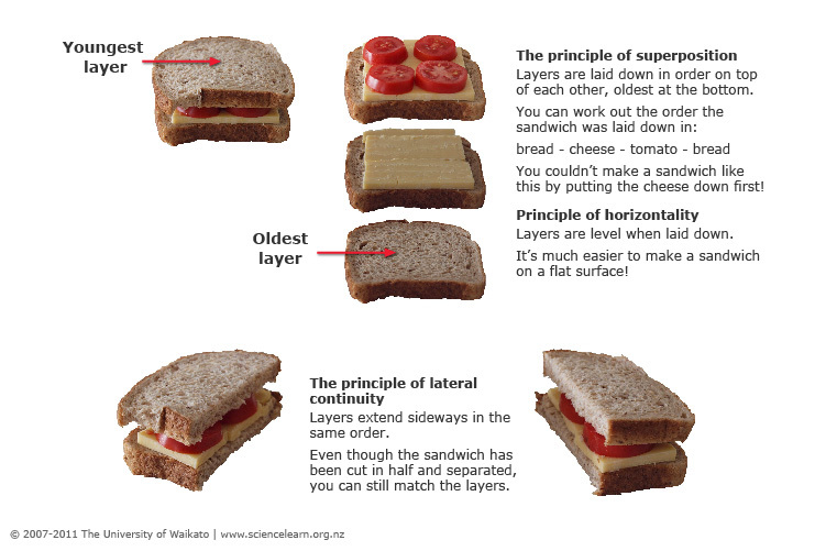 Diagram of the layers in a sandwich. 