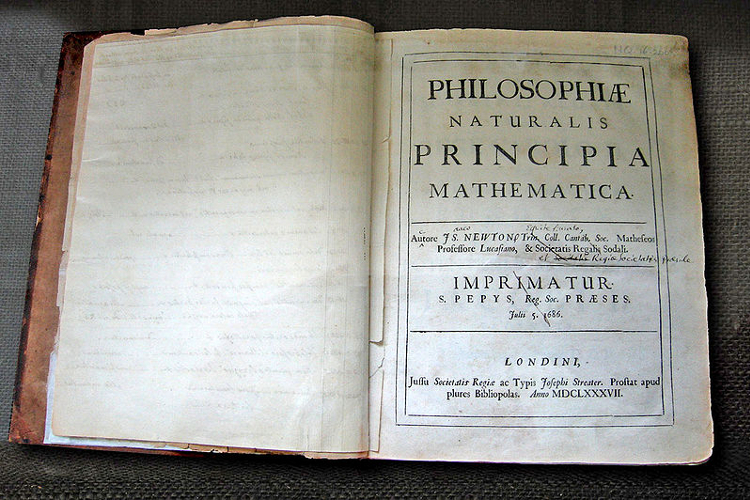 contribution of isaac newton in mathematics in simple words
