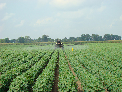Machine Insecticide spraying a field