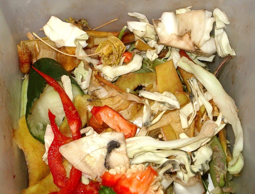 Food scraps in a bin.