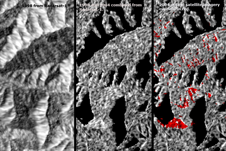 3 satellite images of landslips Whanganui hills in 1998 and 2004
