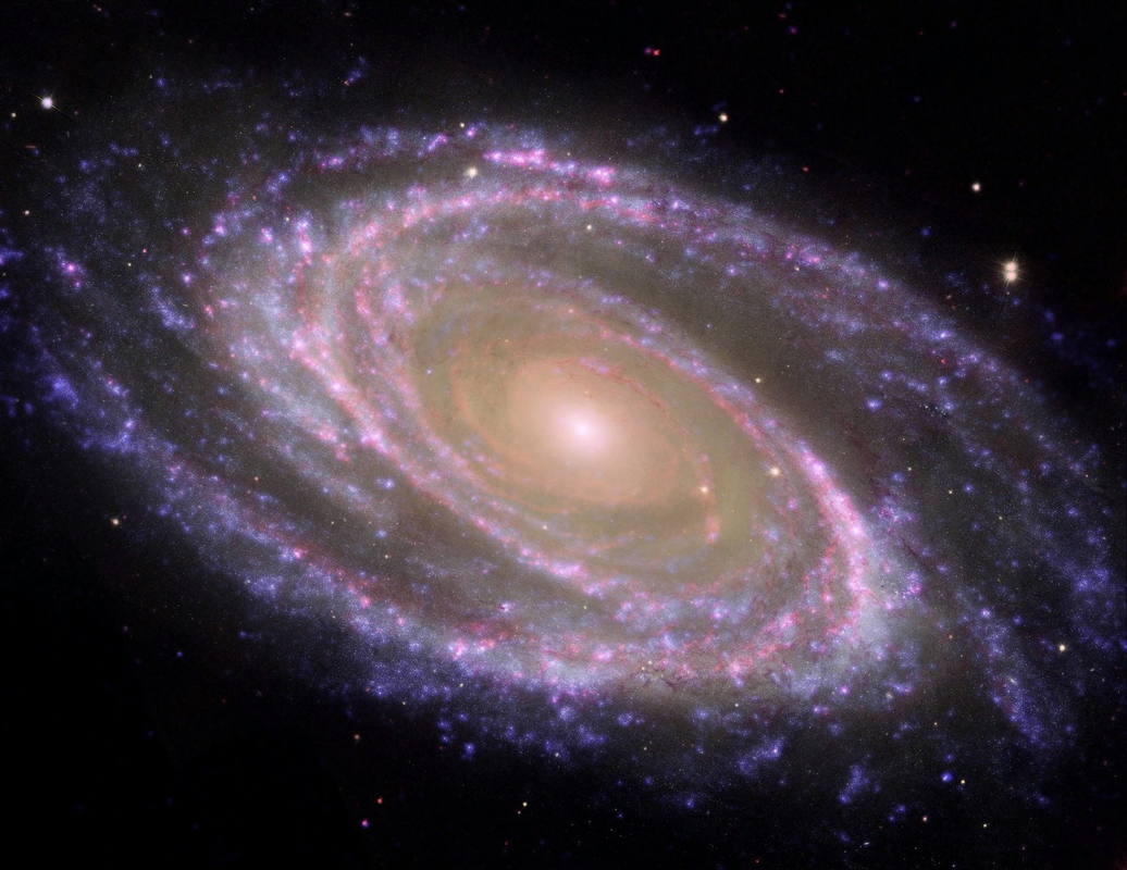 Galaxy M81 is revealed using different types of telescopes