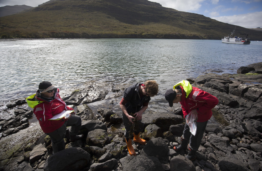Scientist & students collecting coralline algae Auckland Islands