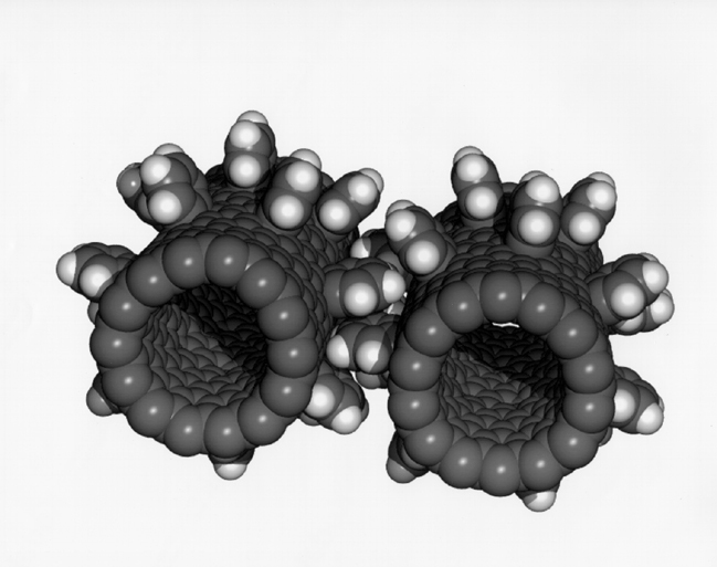 Molecule-sized gears on outside of a carbon nanotube shaft.