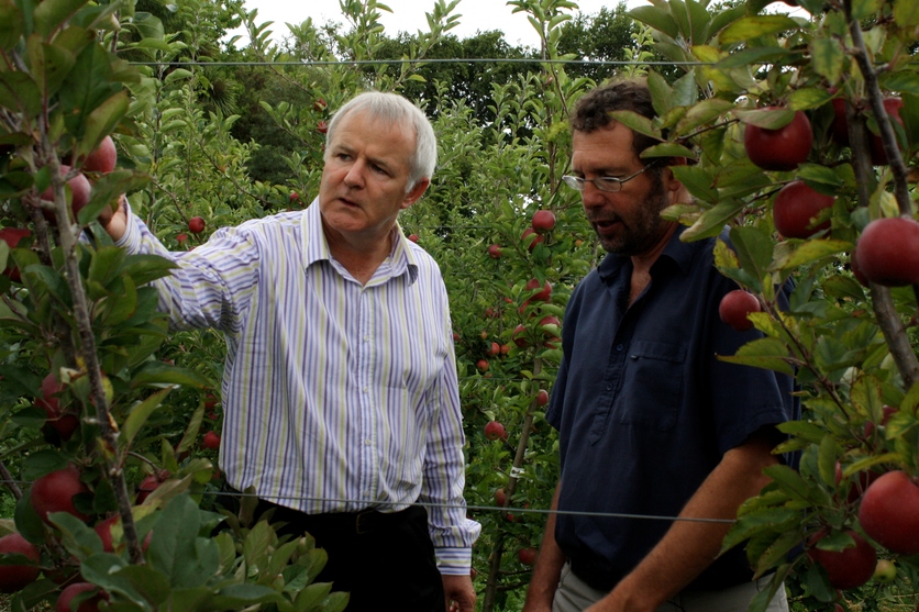 Scientists Brett Ennis and Richard Volz in an apple orchard. 