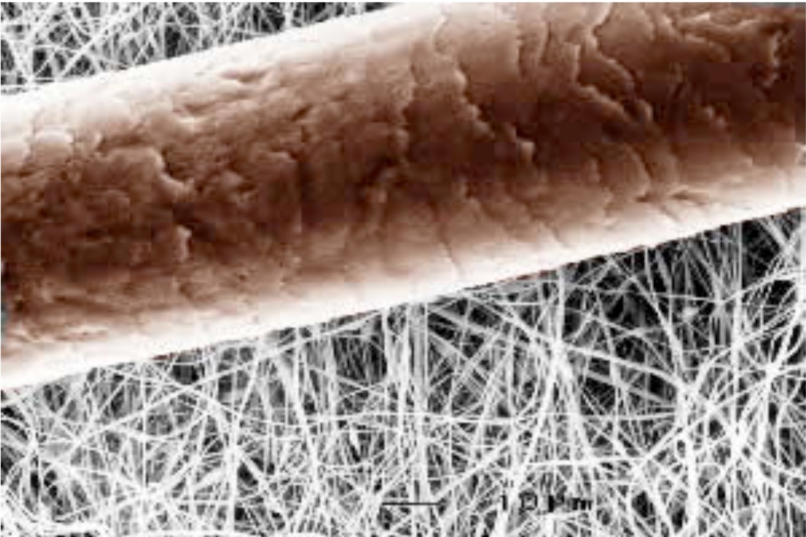 Microscopic image of nanofibres and a human hair.