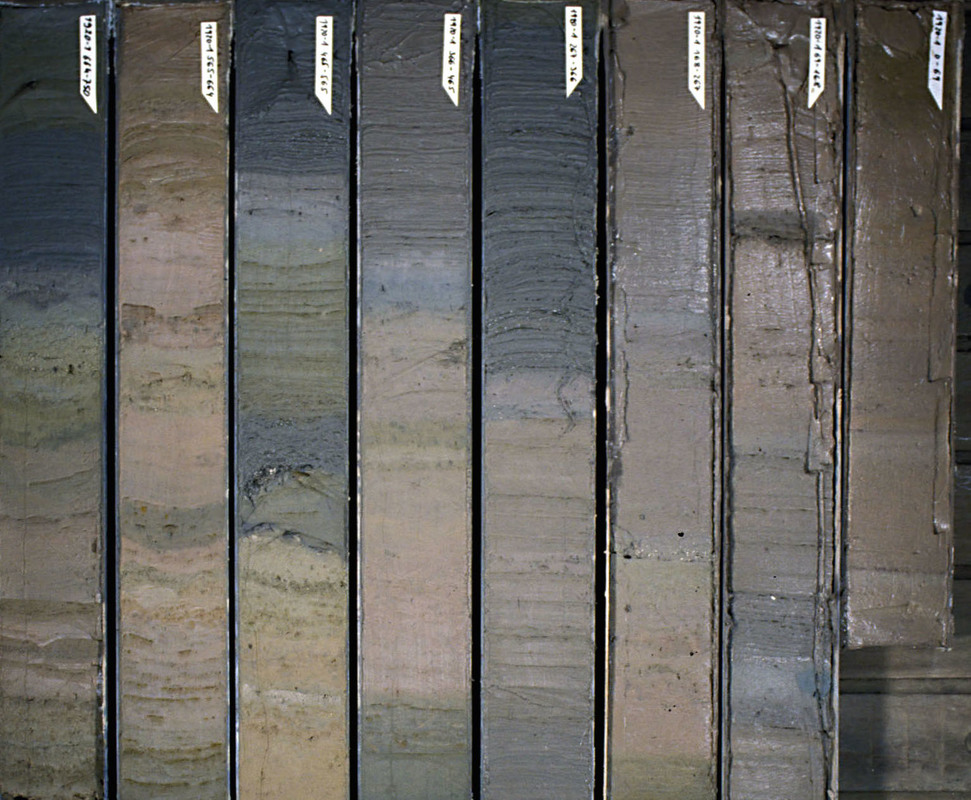 Eight Marine sediment cores from the Auckland Islands fiords.