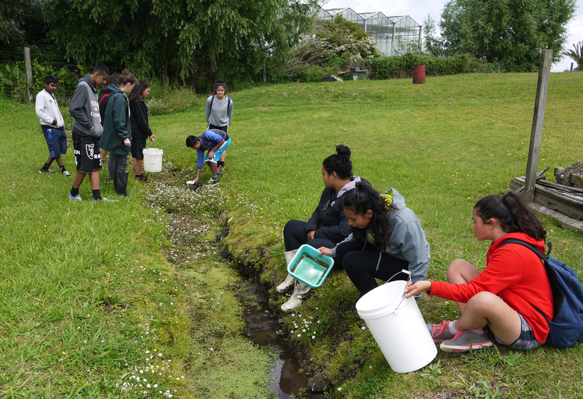 Students around a small tributary to the Oruarangi Stream, NZ