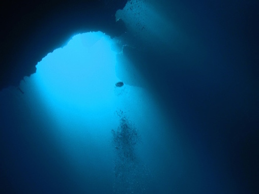 Image of the ocean depths. 