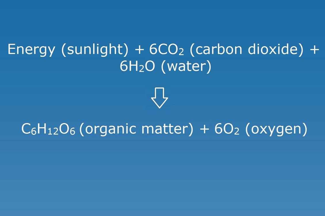 White text on blue background of photosynthesis chemical formula