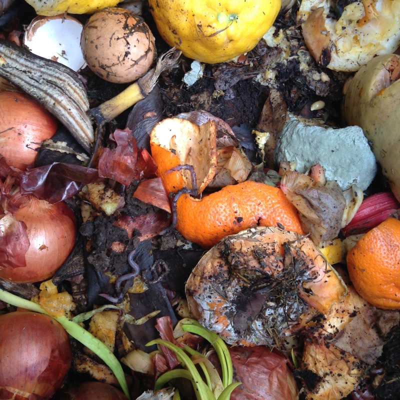 Image of decaying food in a compost bin. 