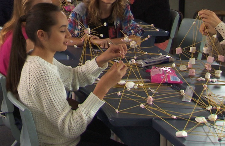 The marshmallow challenge — Science Learning Hub