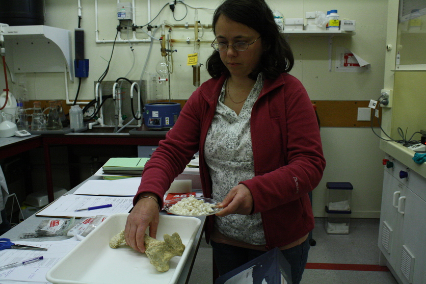 Dr Fiona Petchey working in the Radiocarbon Dating Laboratory