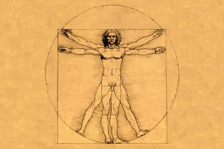 Leonardo da Vinci’s drawing of the Vitruvian Man (c. 1847).