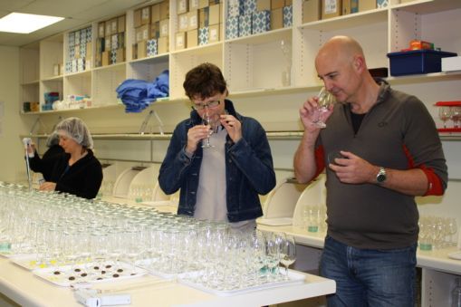 Scientists using their sense of smell in a lab