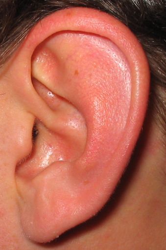Close up of a human ear.