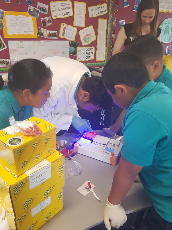 Scientist and students check out glowing bands of DNA.