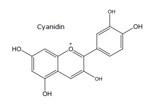 Cyanidin, polyphenolic compound formula.